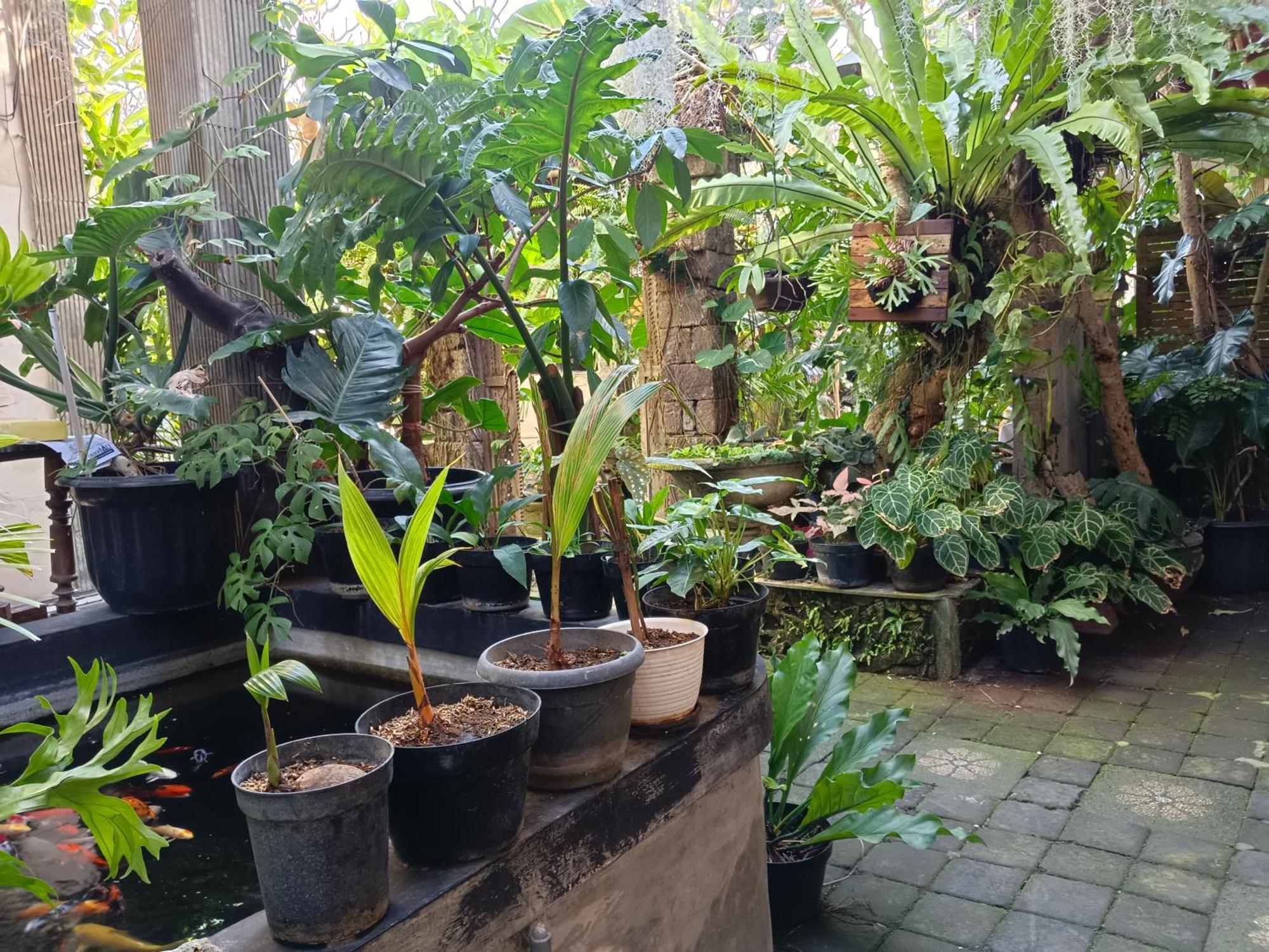 Double N Guesthouse Sanur Kültér fotó