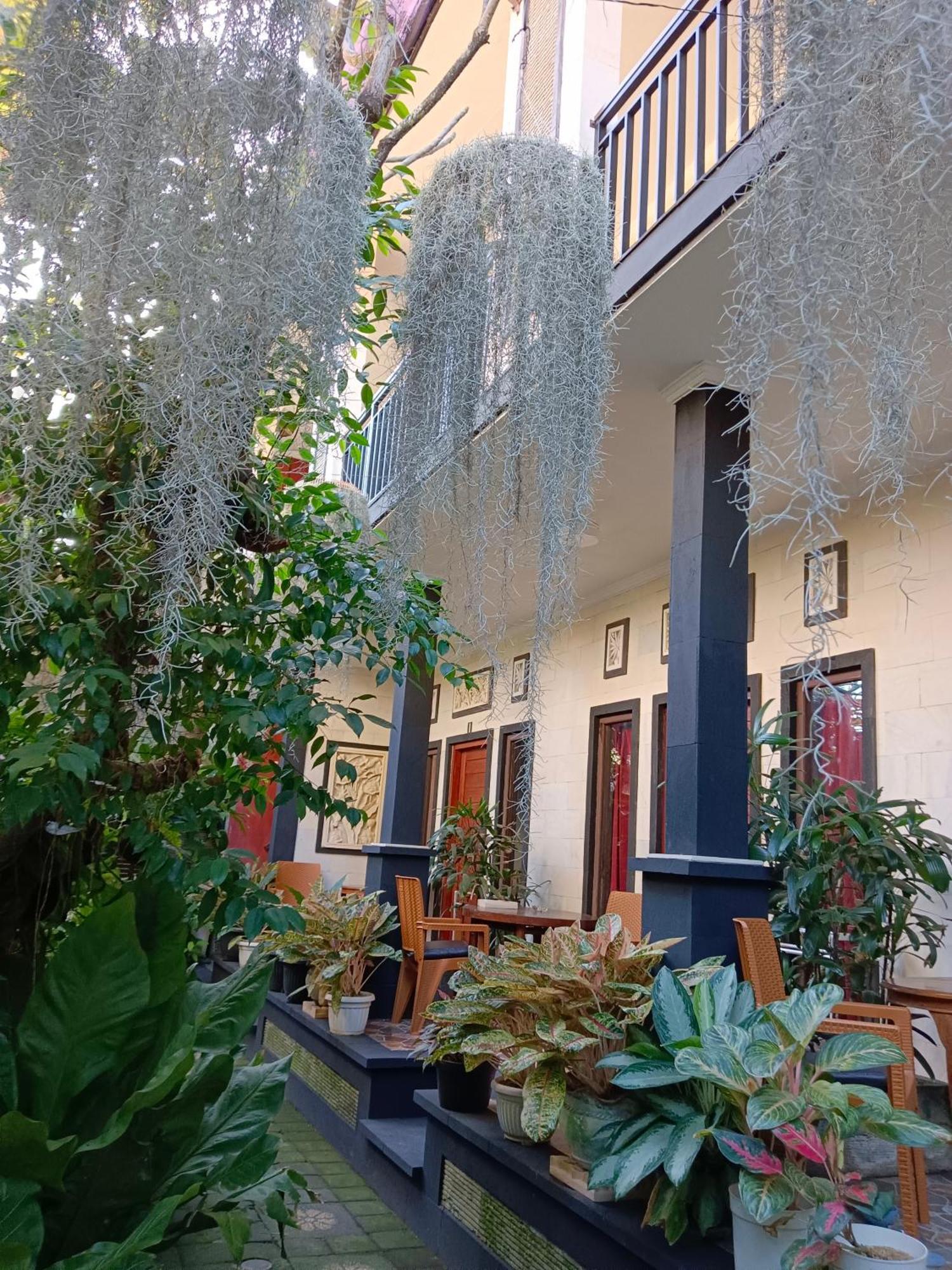 Double N Guesthouse Sanur Kültér fotó